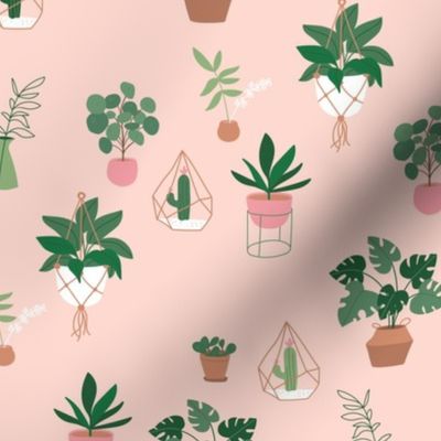 Plants and pots plant lovers green home jungle scandinavian themed interior design with cacti  warm pink blush