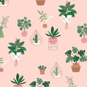 Plants and pots plant lovers green home jungle scandinavian themed interior design with cacti  warm pink blush