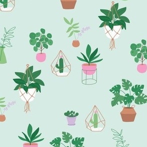 Plants and pots plant lovers green home garden jungle scandinavian themed interior design with cacti mint lilac pink