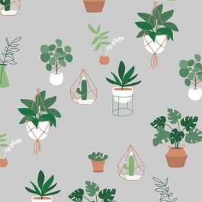 Plants and pots plant lovers green home garden jungle scandinavian themed interior design with cacti sage green mint on gray