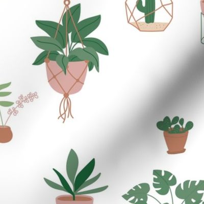 Plants and pots plant lovers green home jungle scandinavian themed interior design with cacti  on white LARGE