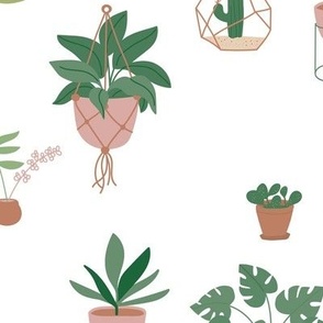 Plants and pots plant lovers green home jungle scandinavian themed interior design with cacti  on white LARGE