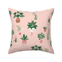 Plants and pots plant lovers green home jungle scandinavian themed interior design with cacti  warm pink blush LARGE