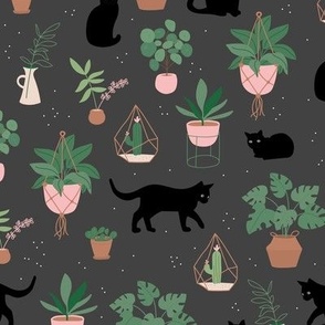 Black cats and home garden plants in pots scandinavian hygge theme cozy interior design green pink on charcoal