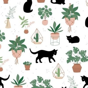 Black cats and home garden plants in pots scandinavian hygge theme cozy interior design green beige neutral on white