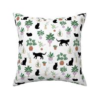 Black cats and home garden plants in pots scandinavian hygge theme cozy interior design green beige lilac on white 