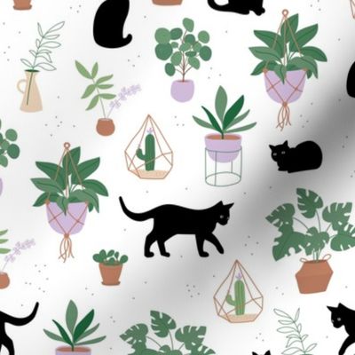 Black cats and home garden plants in pots scandinavian hygge theme cozy interior design green beige lilac on white 