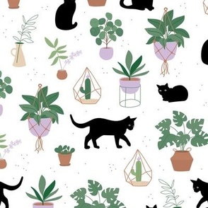 Black cats and home garden plants in pots scandinavian hygge theme cozy interior design green beige lilac on white 