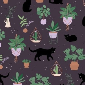 Black cats and home garden plants in pots scandinavian hygge theme cozy interior design green mint lilac on deep purple 