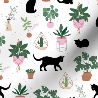 Black cats and home garden plants in pots scandinavian hygge theme cozy interior design green beige pink mint on white