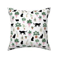 Black cats and home garden plants in pots scandinavian hygge theme cozy interior design green beige pink mint on white