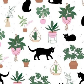 Black cats and home garden plants in pots scandinavian hygge theme cozy interior design green beige pink mint on white