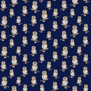 owls in navy