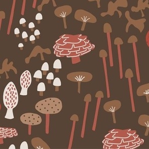 Forest Fungi in Dark Brown
