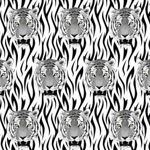 Black and White Tiger Face With Stripes