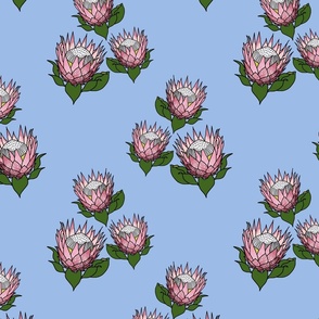 Pretty Pink Proteas motif (topsy turvy) - black outlines, periwinkle blue, medium 