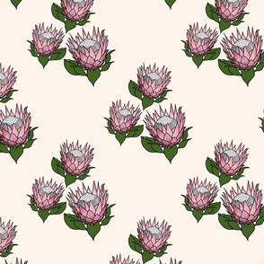 Pretty Pink Proteas motif (lattice) - black outlines, cream, medium 