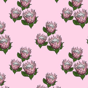 Pretty Pink Proteas motif (lattice) - black outlines, cotton candy pink, medium 