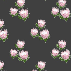 Pretty Pink Proteas motif (lattice) - white outlines, charcoal grey, medium 