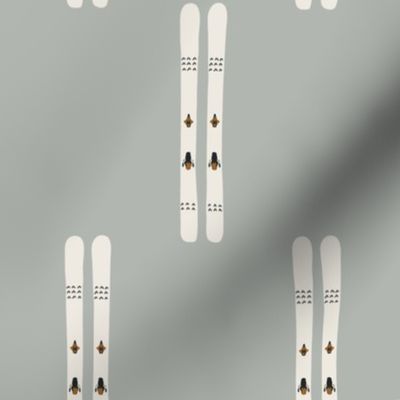 Ski Gear - Skis in Slate Blue