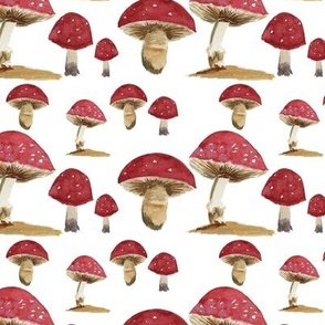 Red Mushrooms on White