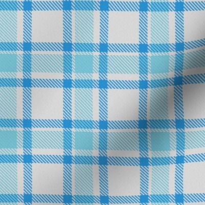 Powder Blue Sky Blue and White Asymmetric Plaid