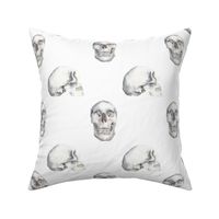 Skull Pattern White