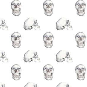 Skull Pattern White