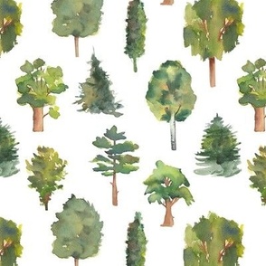 Forest trees Pattern White