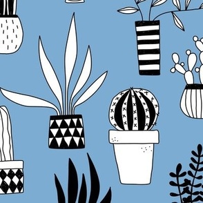 Cactus and Succulent Houseplant Drawings Blue Jumbo