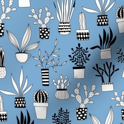 Cactus and Succulent Houseplant Drawings Small Scale Blue