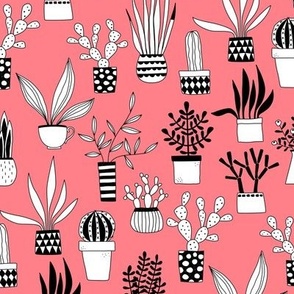 Cactus and Succulent Houseplant Drawings Rose Pink Small Scale