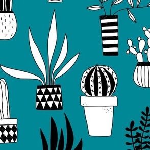 Cactus and Succulent Houseplant Drawings Teal Green Jumbo