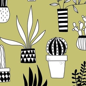 Cactus and Succulent Houseplant Drawings Green Jumbo