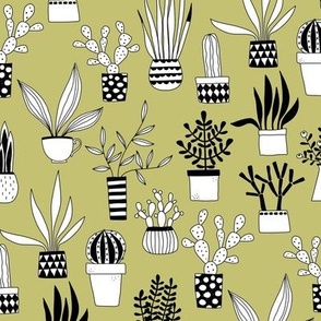Cactus and Succulent Houseplant Drawings Green Small Scale