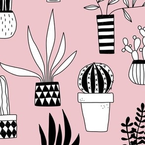 Cactus and Succulent Houseplant Drawings Blush Pink Jumbo