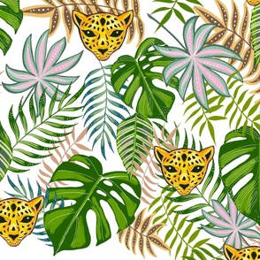 Tropical leopards 