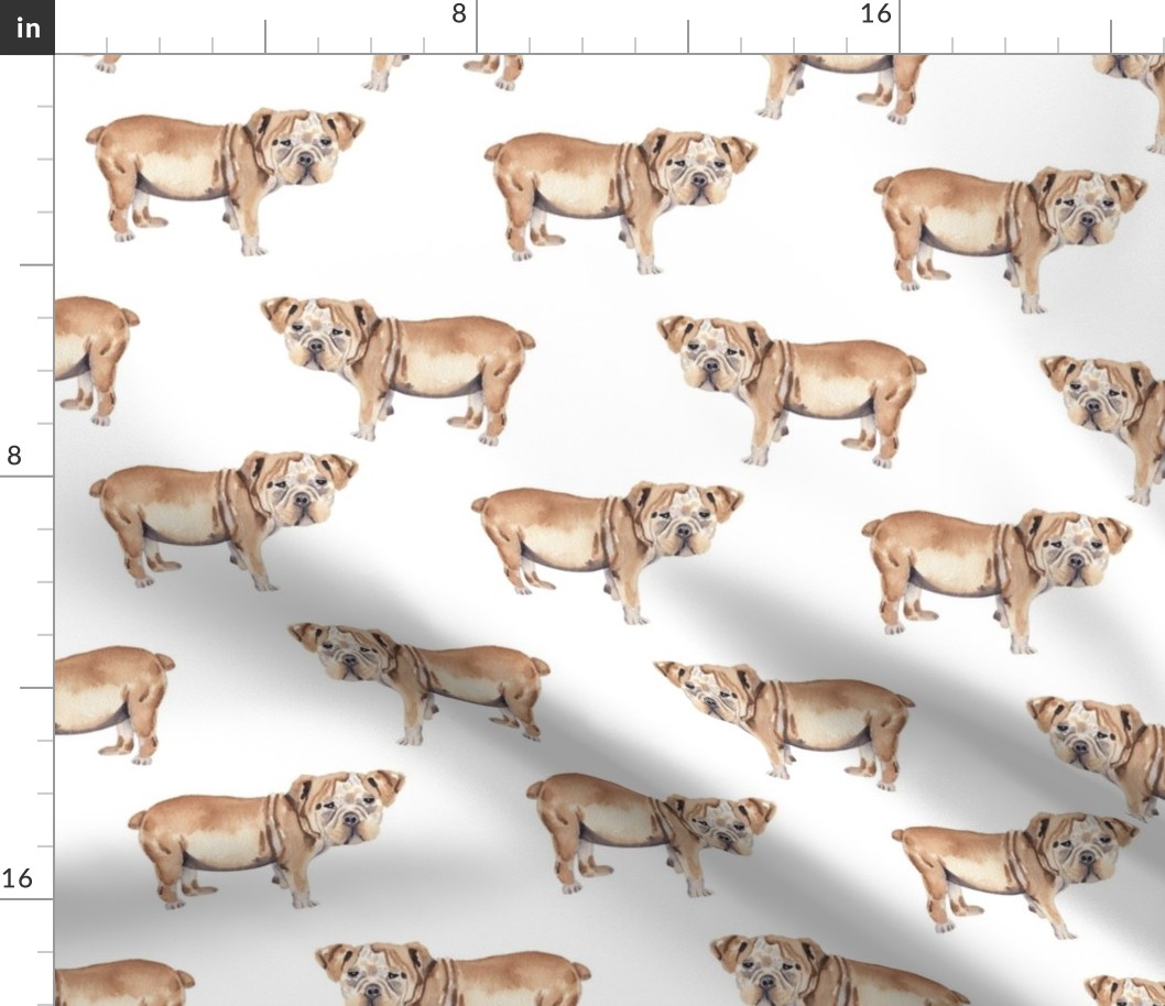 Bulldog Pattern 