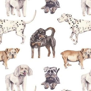 Dogs Pattern