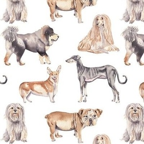Dogs Pattern