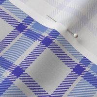 Blue Blueviolet and White Asymmetric Plaid