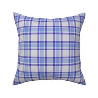 Blue Blueviolet and White Asymmetric Plaid