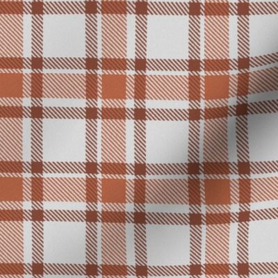 Cocoa and Chocolate Brown on White Asymmetric Plaid