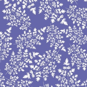 White ferns on purple 