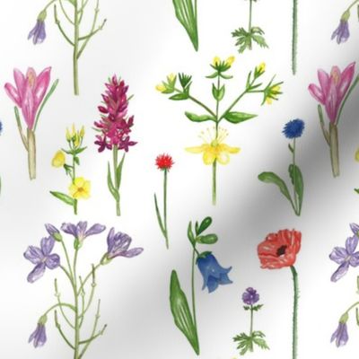 Wildflowers Pattern 3 White