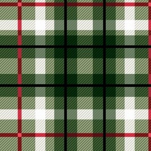 Quirky linnen winter Christmas Plaid traditional check design tartan trend green red white  