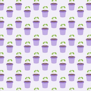 Green seedlings in purple plant pots