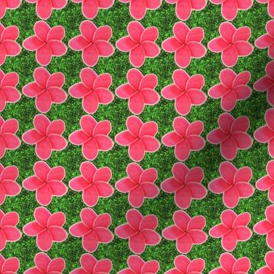 Pink Plumeria with Green Faux Glitter Background