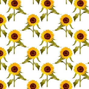 SunflowerPattern2White