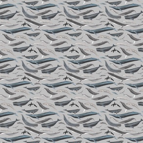 Mini Whales of the World on Gray